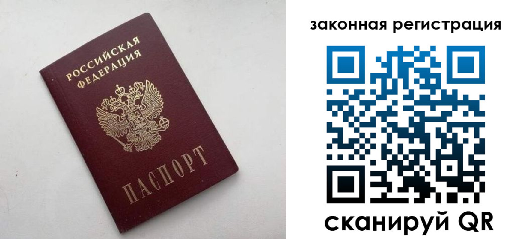 прописка 2025 в Владимире
